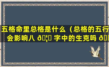 五格命里总格是什么（总格的五行会影响八 🦉 字中的生克吗 💮 ）